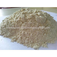 PRODUCER OF DEHYDRATED ONION POWDER